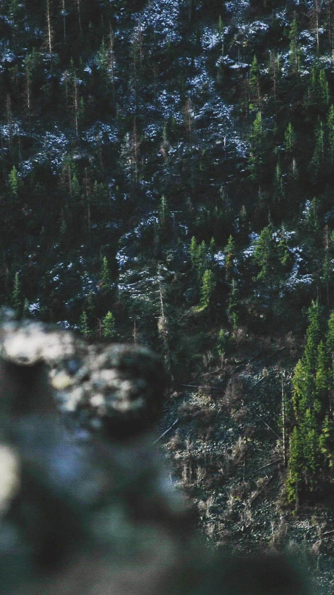Image 2-1